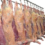 Продукты питания объявление но. 2481617: Мясо и мясопродукты - Производство и оптовая торговля