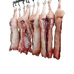 Продукты питания объявление но. 2481617: Мясо и мясопродукты - Производство и оптовая торговля