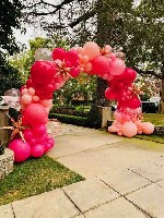 Разное объявление но. 2508941: Экономные цены на Воздушные шары с доставкой