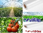 Плёнка для теплиц Vatan Plastik – это идеальное решение для максимальной урожайности круглый год.  Тепличная плёнка Vatan Plastik отвечает всем требованиям аграриев,  фермерских хозяйств,  дачников.   ...