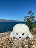 Юридические услуги объявление но. 2647105: Mimis Мы - компания-производитель мягких игрушек под торговой маркой Mimis.