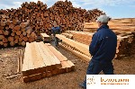 Строительные материалы объявление но. 2712539: Оптовые продажи пиломатериалов Башкирского леса в г.  Белорецк