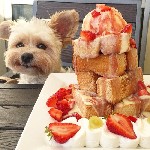 Разное объявление но. 2801273: Курица суповая