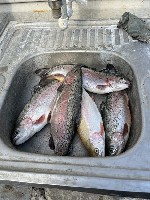 Разное объявление но. 3017186: Переезд в Россию.  Организация бизнеса в России