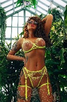 Эскорт-агентства, салоны объявление но. 3049245: Меня ищешь? Скорей свяжись со мной