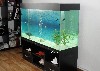 Аквариумные объявление но. 798352: Аквариум 200л. полный комплект плюс декор, новый