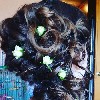 Плетение кос, прически свадебные, вечерние, повседневные стрижки, окрашивание, ламинирование волос. ...