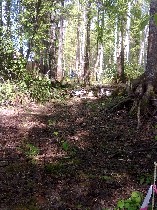 Продам участок объявление но. 951967: земельный участок 2 га в Кировском районе